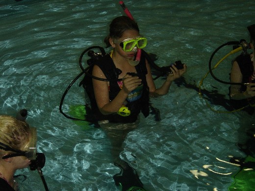 ../Images/Discover Scuba-10.jpg